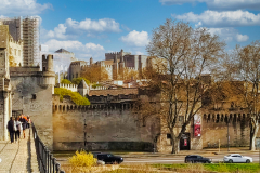 Avignon-4