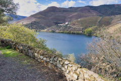 Douro-2