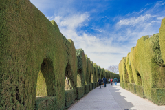 Alhambra-5