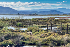 Ebro-2