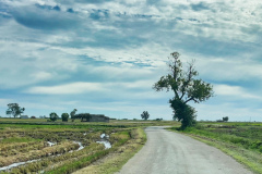 Ebro-7