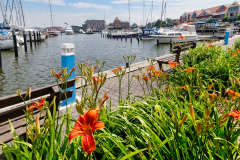 Barth-2022-06-25-um-15.34.04