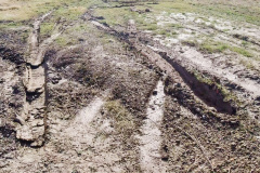 Bologna-Freistehplatz-4