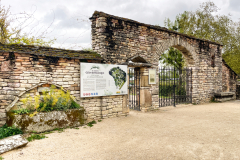 Chalon-4