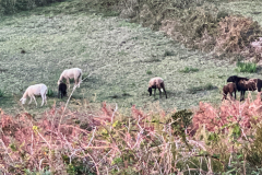 Parkplatz-3 Parkplatz-3