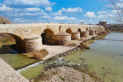 Punete-Romano-de-Cordoba