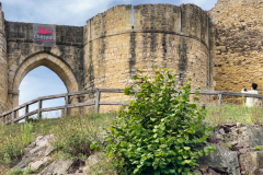 Chateau-Falaise-1
