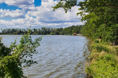 See-1