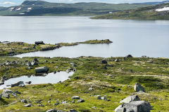 Hardangervidda-1