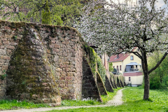 Kleinheubach-06