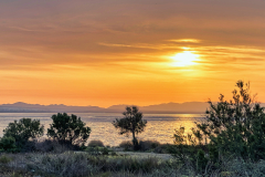Sonnenaufgang-Almeria