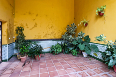 Heremitage-5