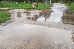 Regen_1