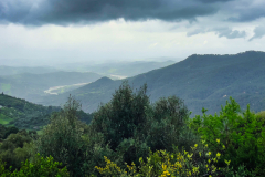 Ronda-3