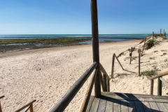 Rota-Strand-2