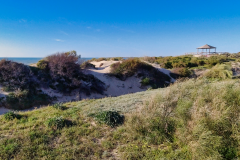 20240226-Rotal-um-21.32.42