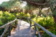 20240226-Rotal-um-21.33.21