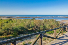 20240226-Rotal_092948