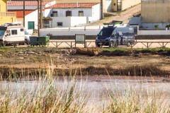 Sao-Pedro-de-Cadeira_4