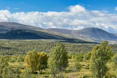 NAF-Plus-Camp-Landschaft