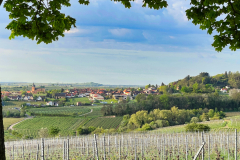 Weyher-5